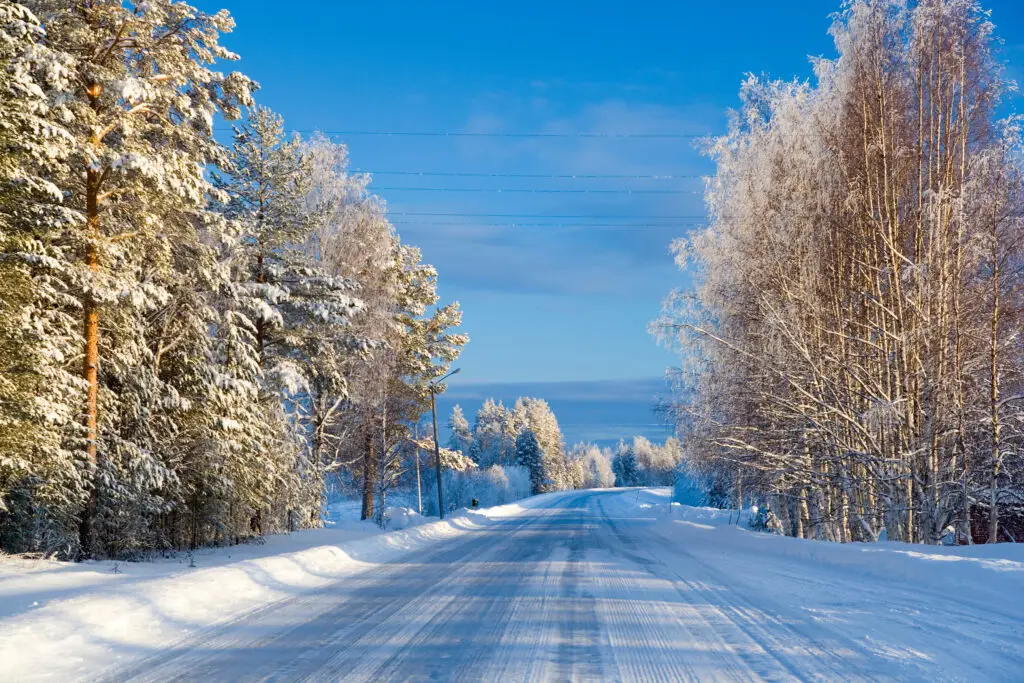 Winter landscape of a snow-covered road lined with frosty trees near Lulea, Northern Sweden, showcasing a scenic view ideal for winter tours in Scandinavia.