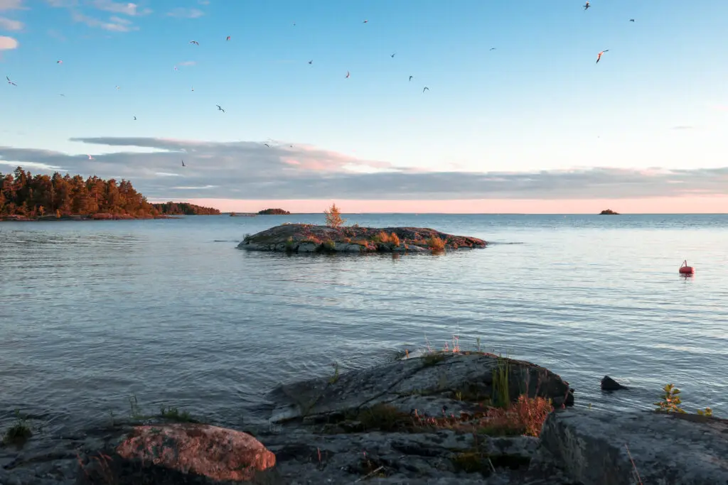 Sunset over small bird islet in Lake Vänern, Sweden, featuring serene water and flying birds in a vibrant summer evening scene.