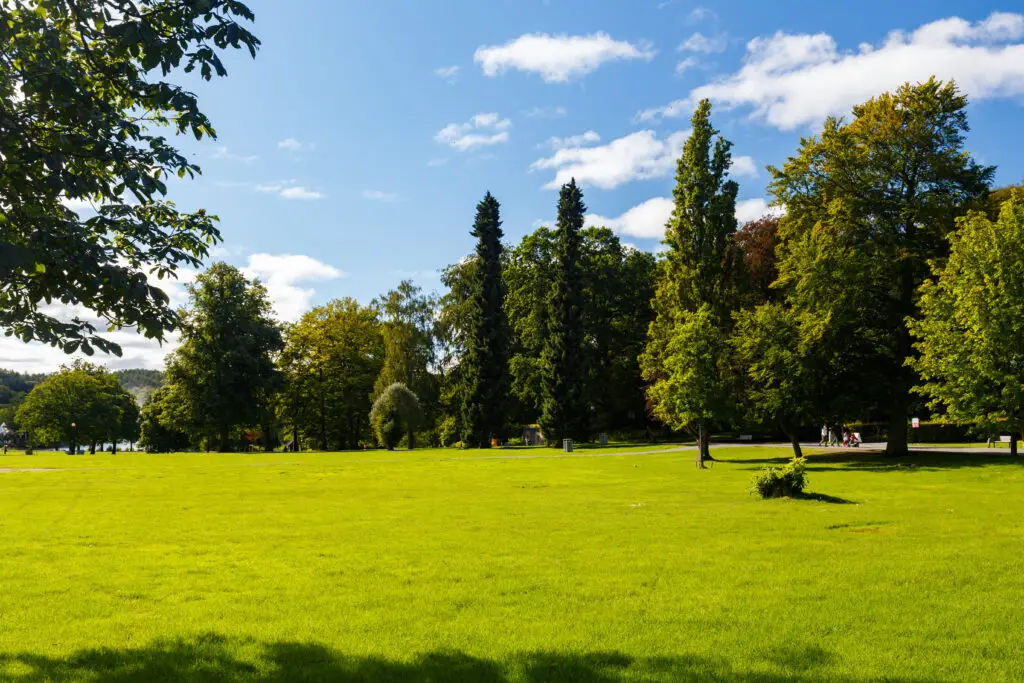 Sunny day at Slottsskogen natural park in Sweden showcasing green lawns and lush trees under a blue sky with fluffy clouds